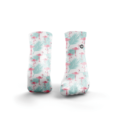 Flamingos